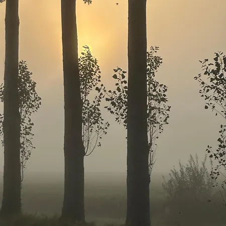 Onder De Lindebomen * Empe