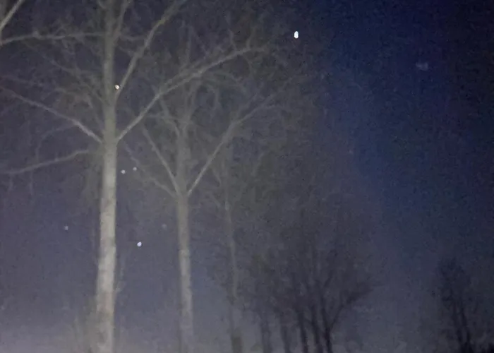 Onder De Lindebomen * Empe