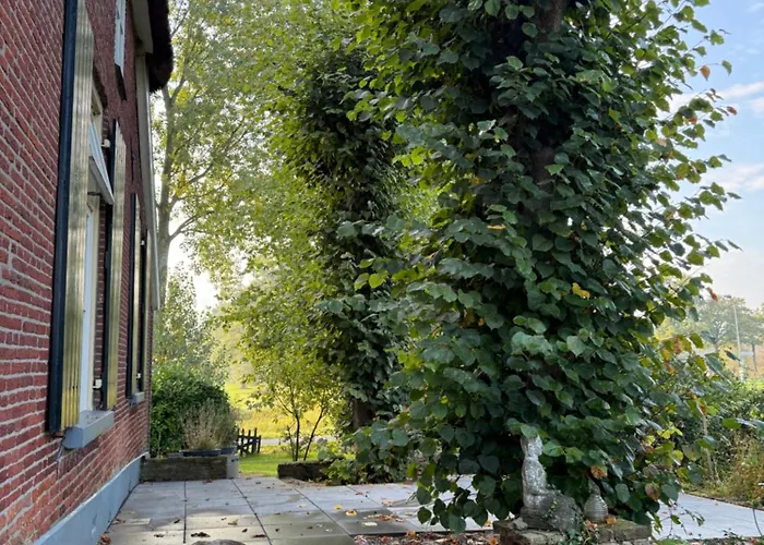 Onder De Lindebomen *