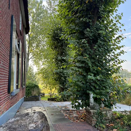 Onder De Lindebomen *