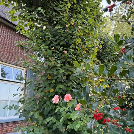 Onder De Lindebomen Empe