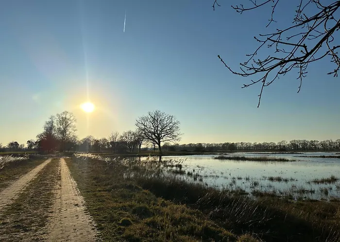 Onder De Lindebomen 아파트