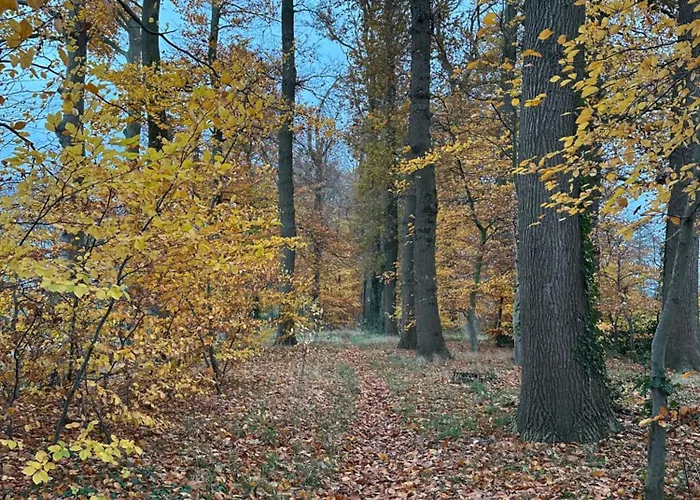 Onder De Lindebomen *