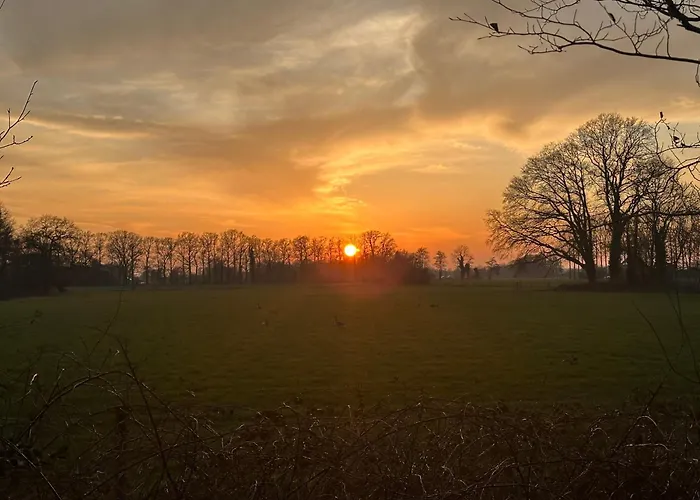 Onder De Lindebomen 아파트 *