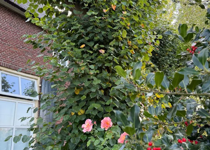 Onder De Lindebomen Empe